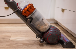 Dyson Ball Animal 3