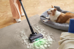 pet hair vacuum